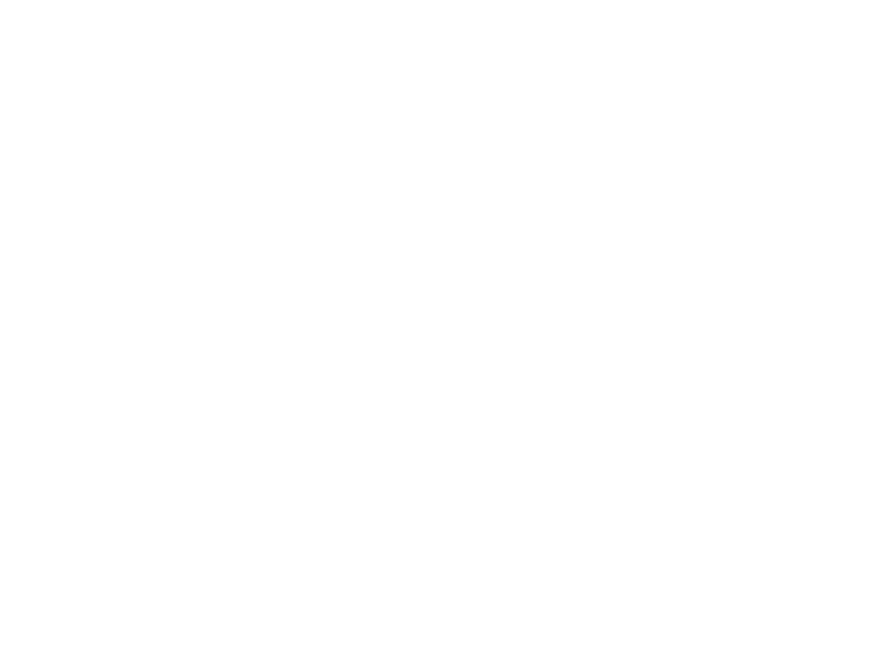 Команда SIMMONI