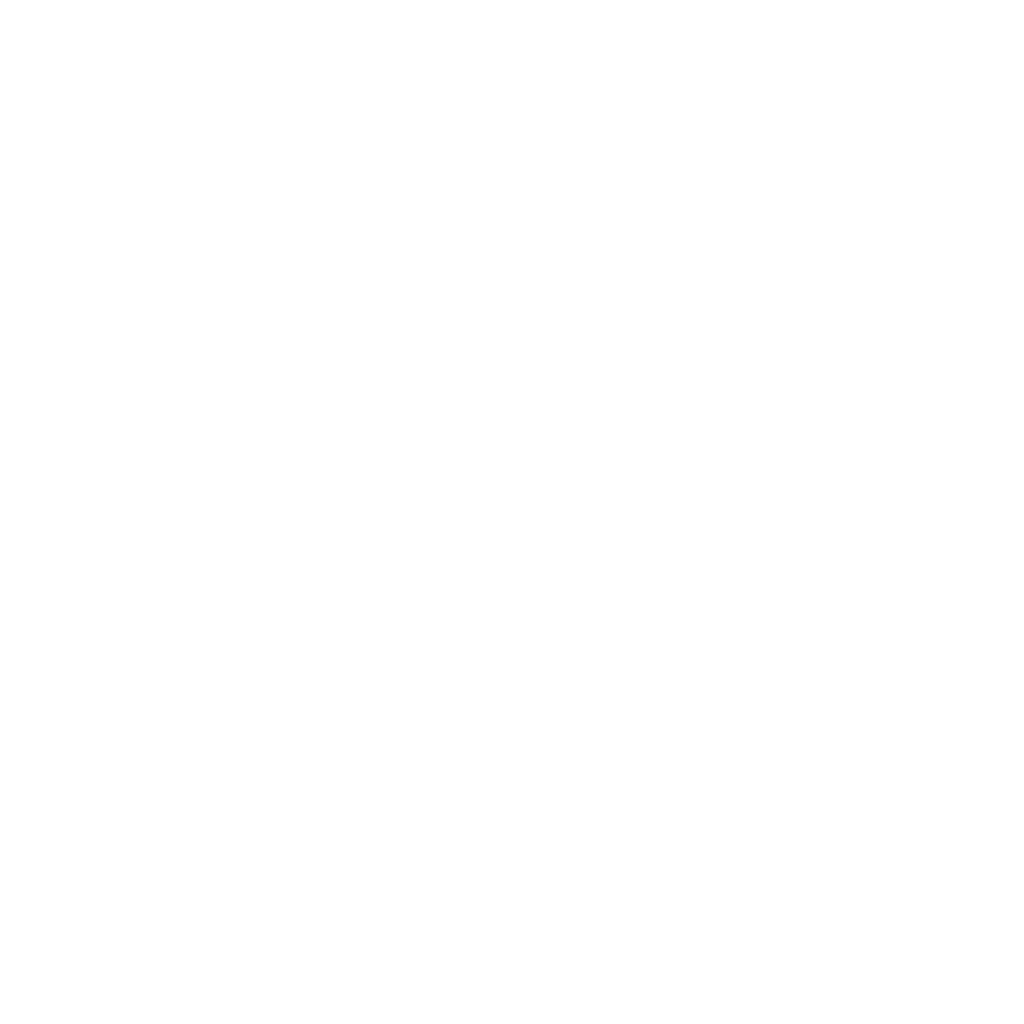 Simmoni Logo