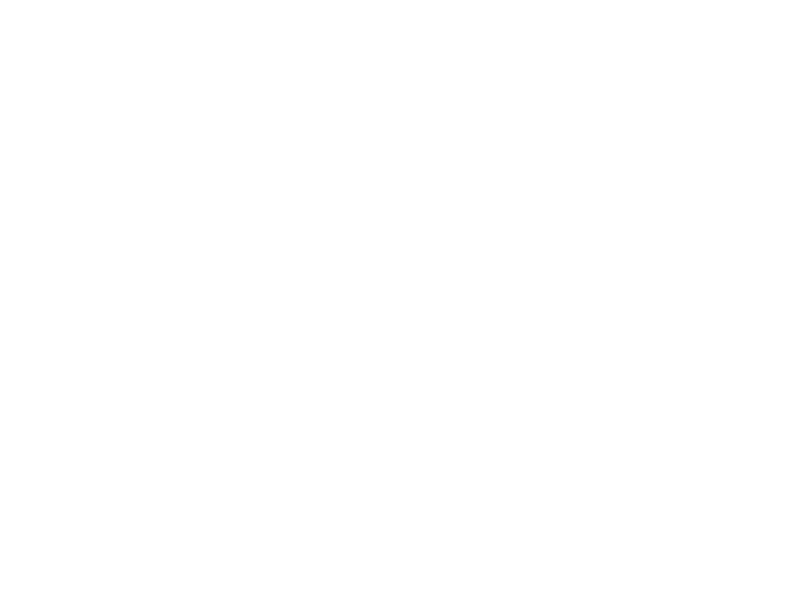 Цель SIMMONI